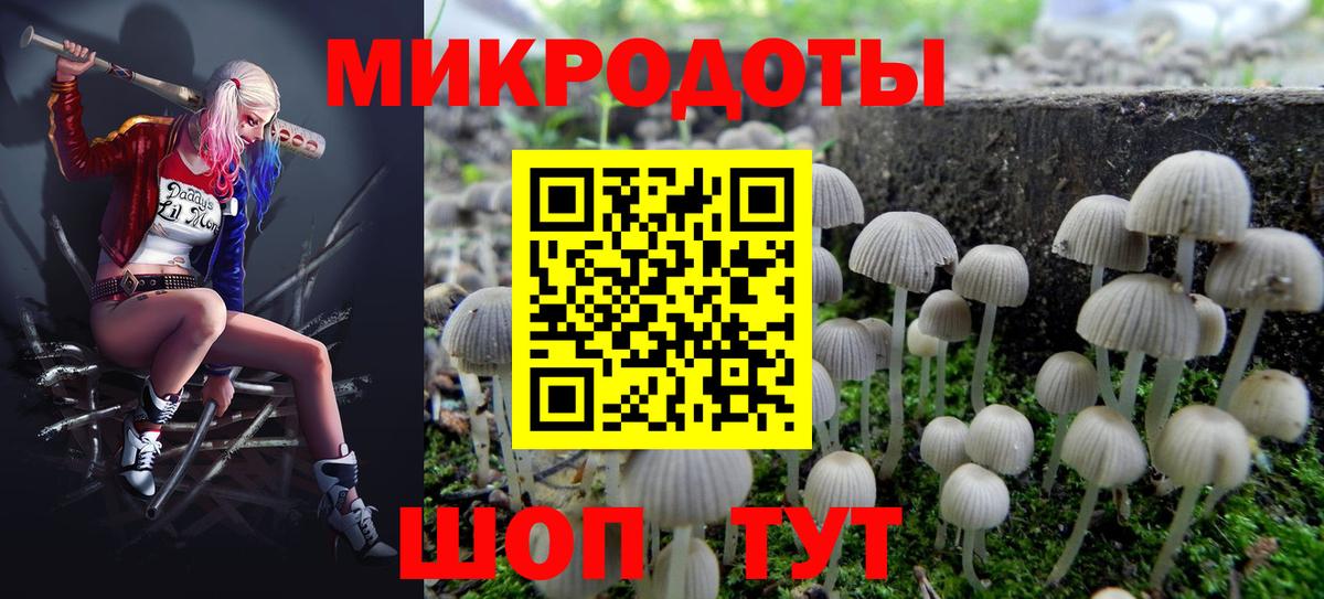 Галлюциногенные грибы Psilocybe  Вход с VPN  Галлюциногенные грибы MAGIC MUSHROOMS  Ейск 