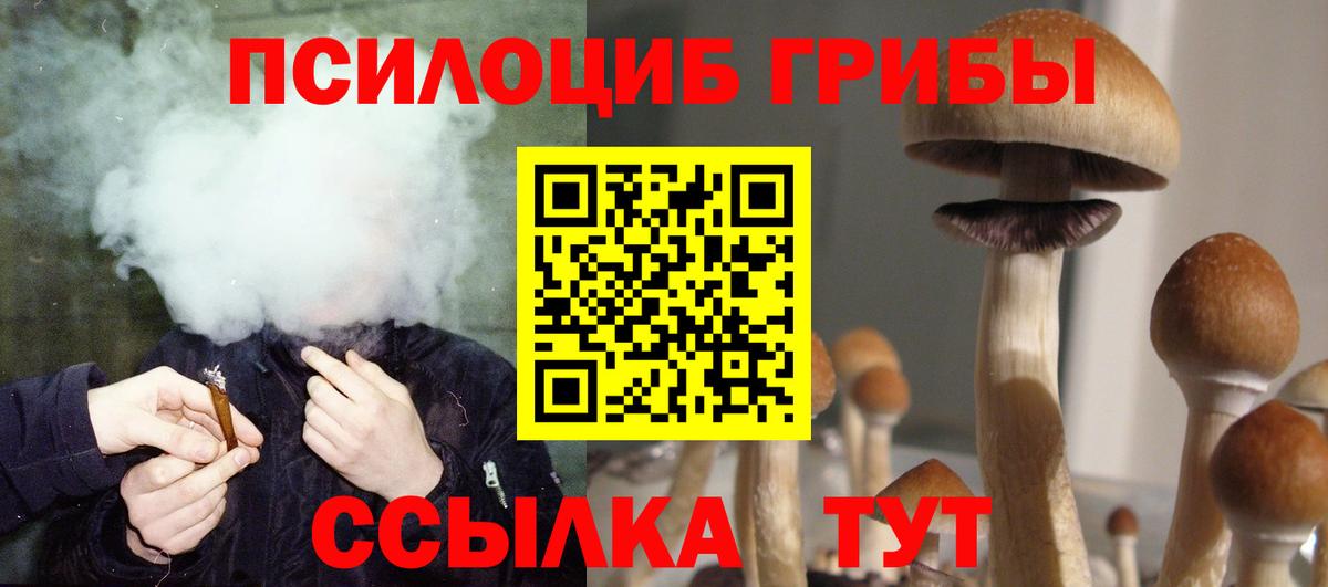 Псилоцибиновые грибы Cubensis Ейск